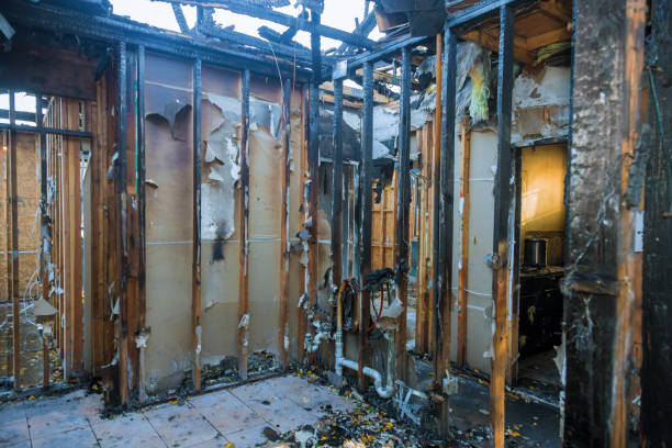 Professional Fire Damage Assessment technician working in Juliustown, NJ